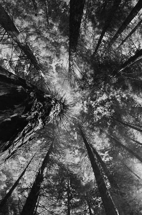 Photo courtesy of Ryan Wan via Unsplash