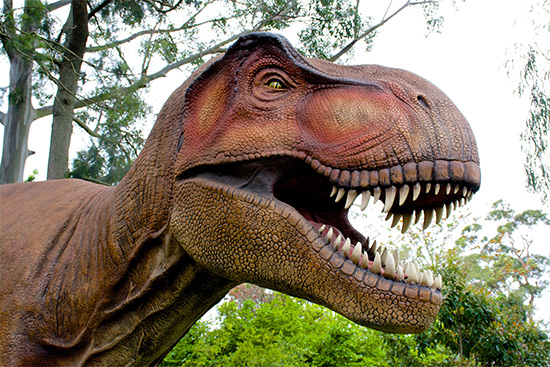 Tyrannosaurus Rex