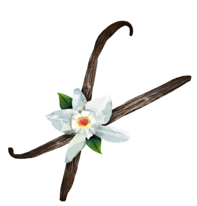 Vanilla design for talenti gelato