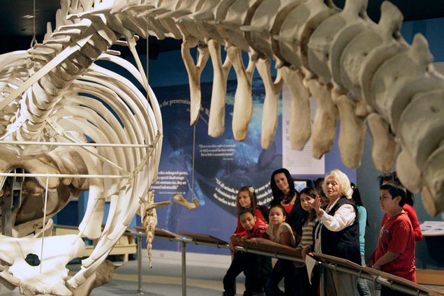 New Bedford Whaling Museum