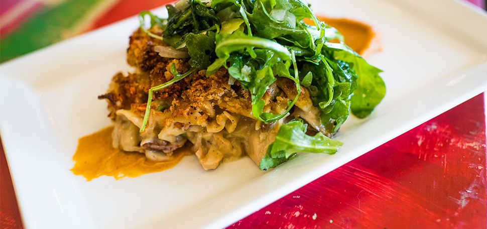 Plated Turkey Tetrazzini prepared by The Flying Rhino Cafe & Watering Hole in Worcester, Massachusetts