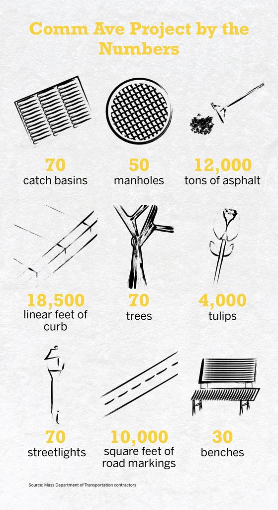 Comm Ave Project by the Numbers Infographic. Text: What does it take to remake Commonwealth Avenue? Here are some key components of the Comm Ave Phase 2 project: 70 catch basins 50 manholes 12,000 tons of asphalt 18,500 linear feet of curb 70 trees 4,000 tulips 70 streetlights 10,000 square feet of road markings 30 benches Source: Mass Department of Transportation contractors