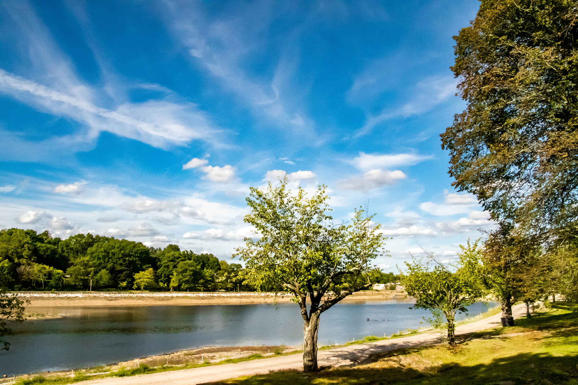 Photo: View of Brookline reservoir park on a sunny morning