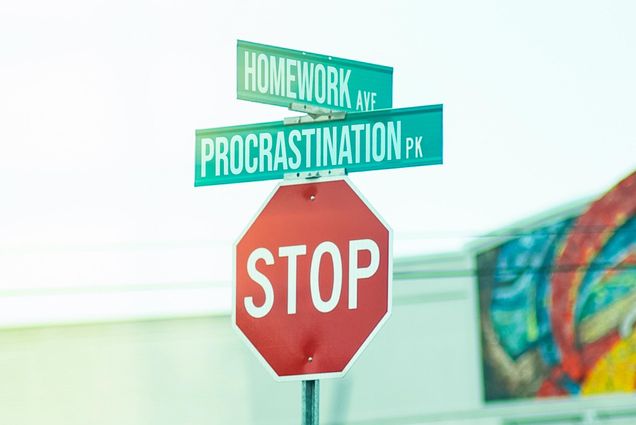 Two street signs at an intersection marking Homework Ave. and Procrastination Pk.