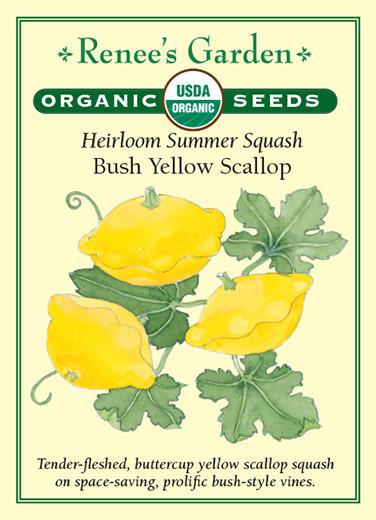 Seed packet artwork for Renee’s Garden Seeds. Packet reads: Organic USDA seeds. Heirloom Summer Squash, Bush Yellow Scallop. Tender-fleshed, buttercup yellow scallop squash on space-saving, prolific bush-style vines. Watercolor illustration of three yellow, disc-shaped squash on a vine.