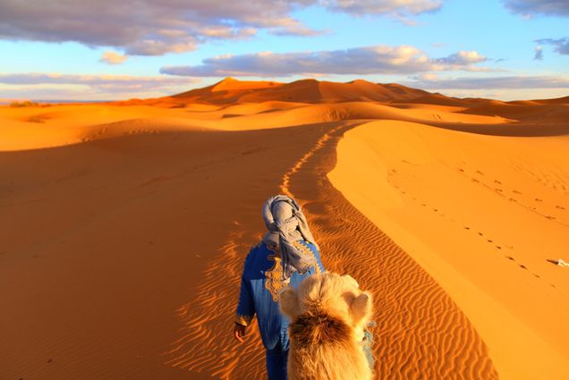 Photo taken by Lu Ping (ENG’24) atop a camel in the Sahara Desert in Morocco. A person dressed in blue white a white head covering is seen leading the camel in the orangey desert sand.