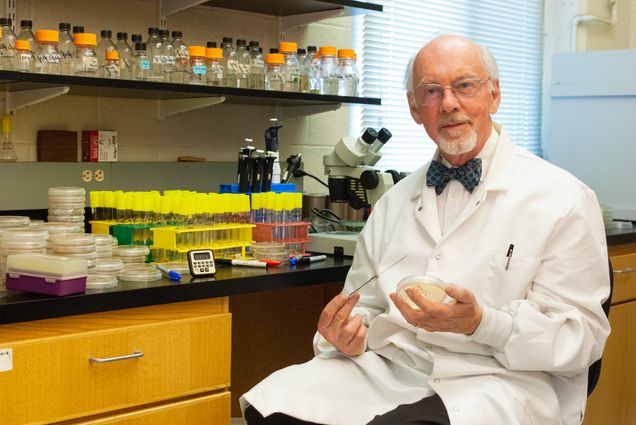 A photo of Sir Hans Kornberg in his lab