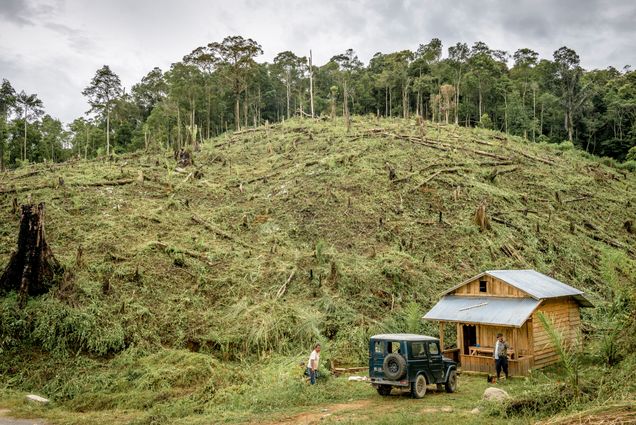 A photo of slash and burn landscapes in the Marancar area of Tapanuli Selatan, North Sumatra, Indonesia.