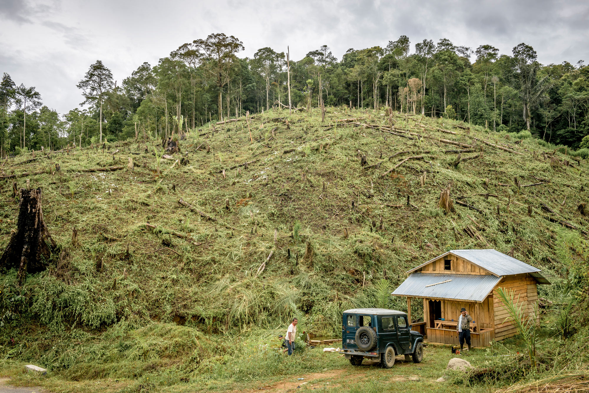A photo of slash and burn landscapes in the Marancar area of Tapanuli Selatan, North Sumatra, Indonesia.