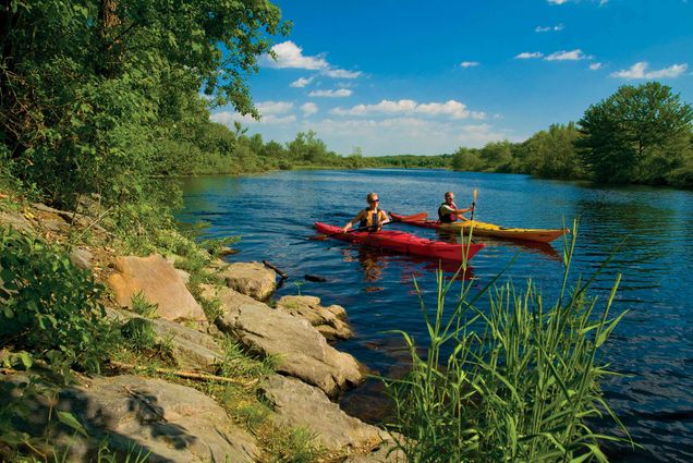 Image of two people kayaking on a river on a sunny day. One kayak is red, the other yellow. Photo taken from the shoreline, rocks and brush are seen in the foreground.