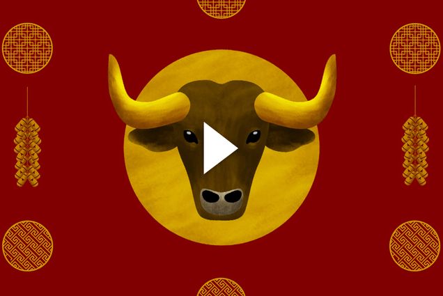 Illustration of a bull with large golden horns on a red background. Surrounding him are circular golden patterns and lunar new years decorations. Video play button is overlaid.