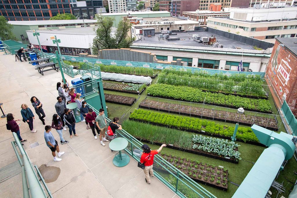 Photo taken from above as Davida Pines and Karen Healy’s CGS class gets a tour of Fenway Park, including Fenway Farms Garden. The garden has lines of raised beds in a flat area on top of the stadium.