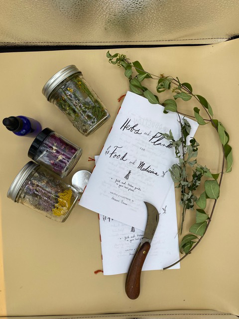 overhead photo of a booklet on tan cardboard lying next to eucalyptus and a jar of assorted herbs. Booklet reads "Herbs and Plants for Food and Medicine"