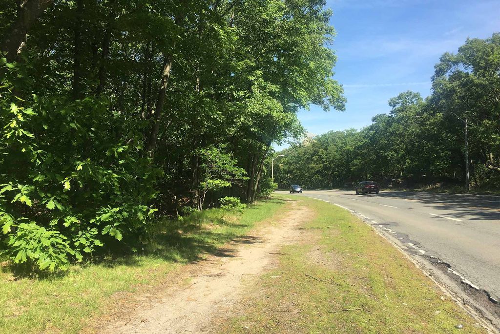 A forest edge in Newton, MA, where researchers consistently measured and monitored the soil to determine how much carbon is being released.