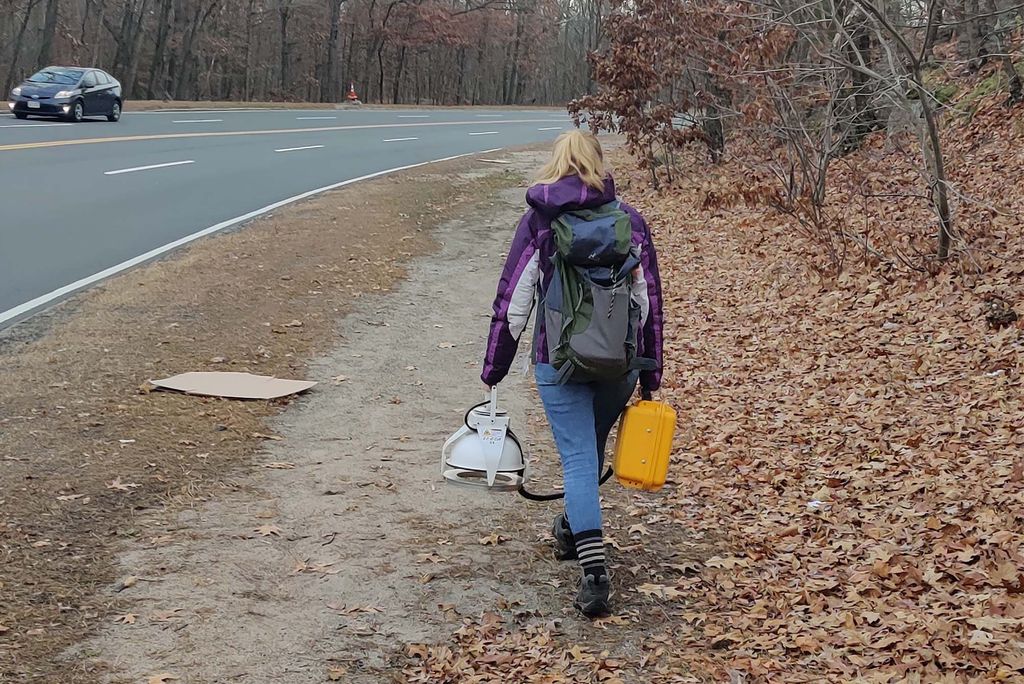 Sarah Garvey walks toward an urban research site in Newton, MA LI-COR device in hand. Photo credit: Luca Morreale