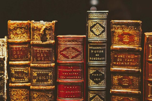 Photo of the spines of a series of old books with brown, red and black covers with gold designs.