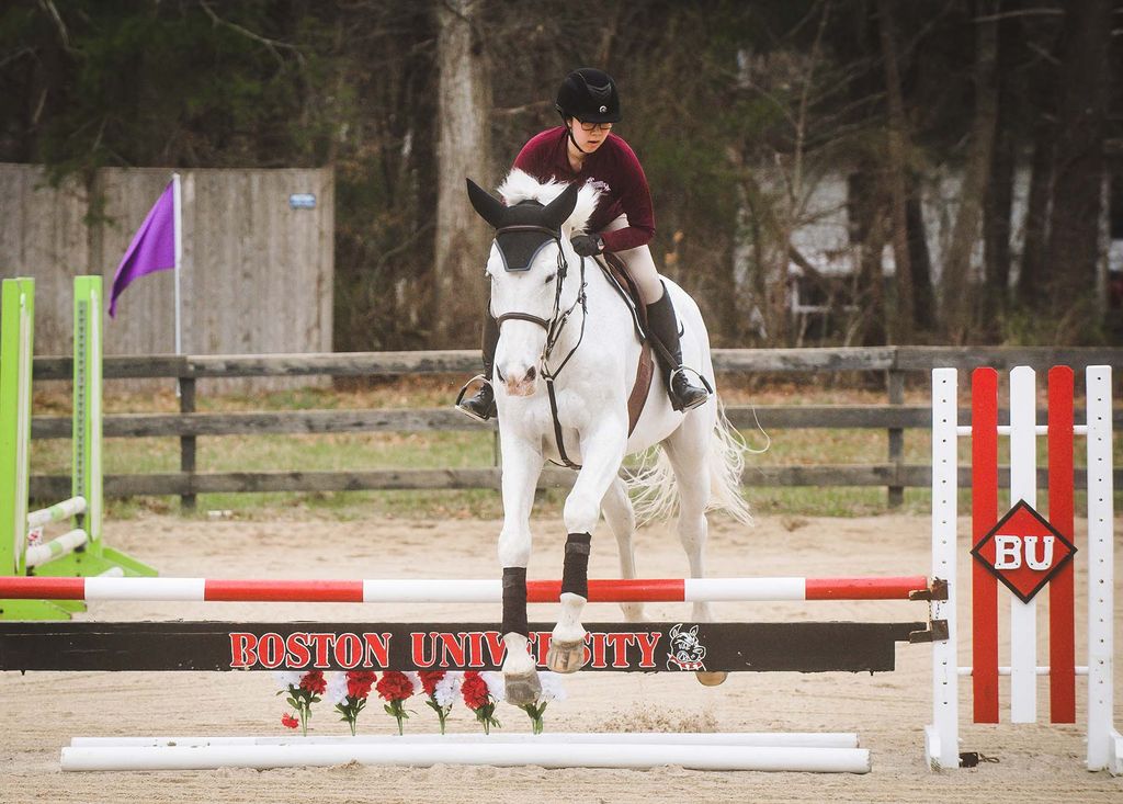 Photo of BU Equestrian Team cocaptain Sarah Watanabe jumping over a short, black barrier that reads "Boston University" in red lettering. She wears a dark red jacket, tan pants, and black riding helmet and rides a white horse in the sandy area.