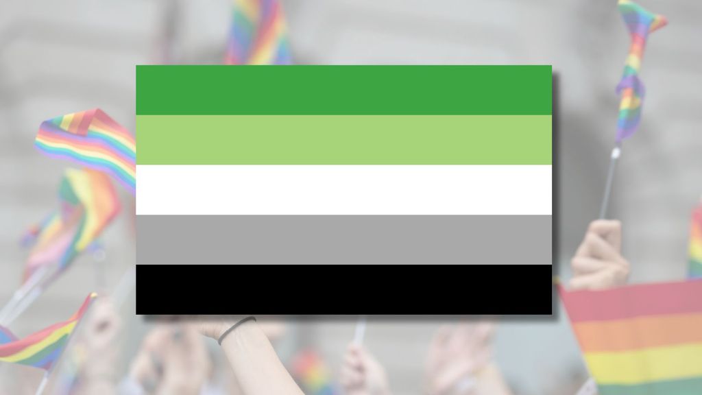 The image depicts the aromantic flag with four horizontal stripes in shades of green, white, and grey. It is superimposed over a blurred background featuring people waving various rainbow flags. The central flag appears to represent a specific identity within the broader LGBTQ+ community.