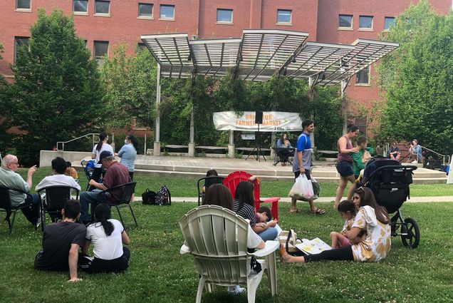 Photo of a group diverse group of people, sitting on the green lawn of Brighton Common during the farmers market. Some sit on the grass, other in plastic Adirondack chairs or black lawn chairs. In the background, a small stage wear a person players a keyboard and a sign that reads "Brighton Farmers Market" hangs underneath a pavilion.