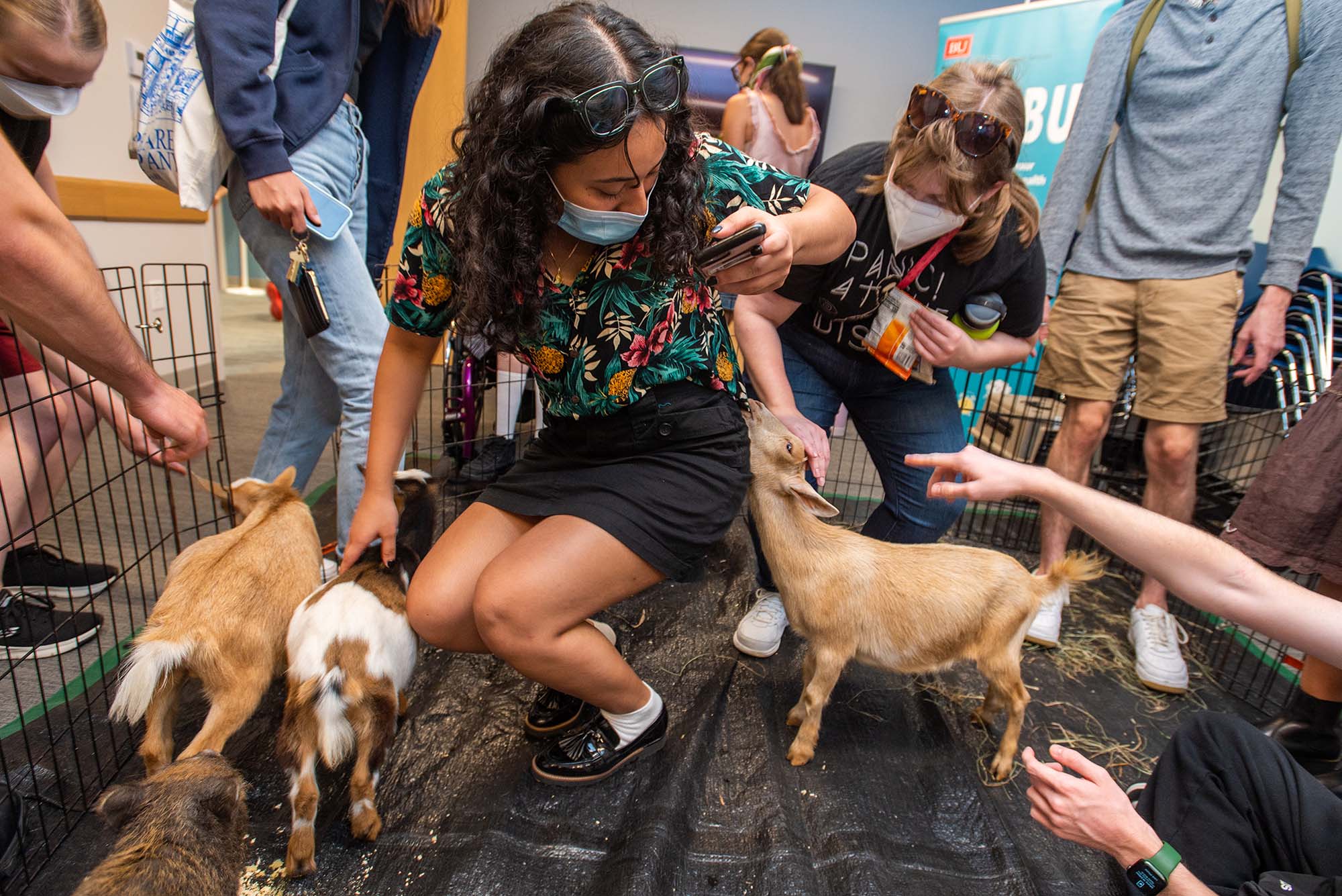 Photo: A young, masked woman crouches and pets three brown baby goats gathered around her. One baby goat nibbles at her black skirt. Other masked students can be seen gathered around, petting the goats as well.