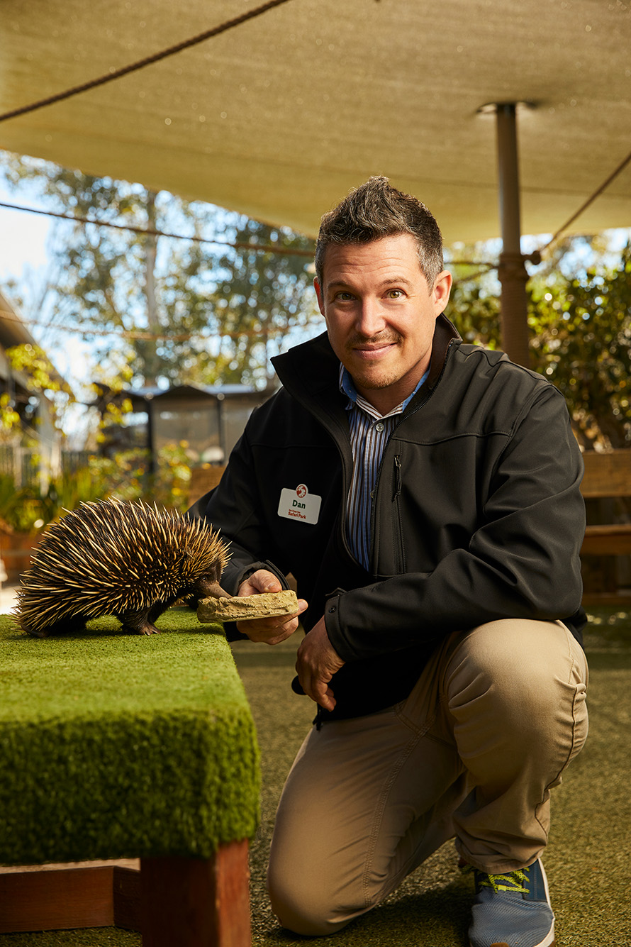 Photo of Daniel Fredholm posing for the camera. He kneels and feeds an echidna to his left in a large, green workspace.