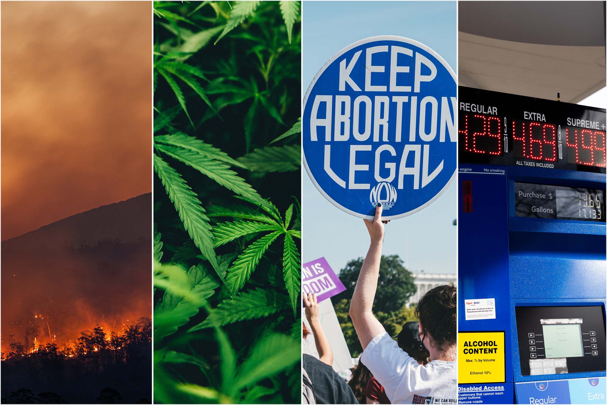 Collage: (from left to right) Photo of a raging wildfire, marijuana leaves, A protestors holding up a blue sign that reads "keep abortion legal", and a gas station pump showing high gas prices are shown to illustrate some of the issues being debated in the midterms.