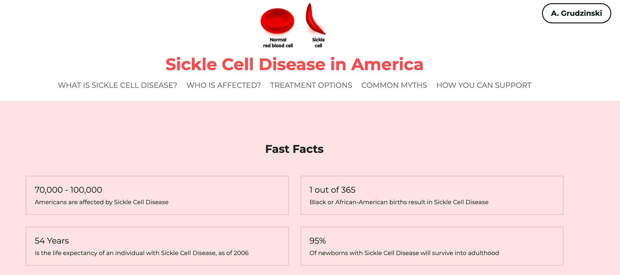 Image: Screenshot of a mock-up web page for sickle cell disease. Pink-themed web page reads "Sickle Cell Disease in America." and includes fast facts about the disease as well as links to child pages for the future website.