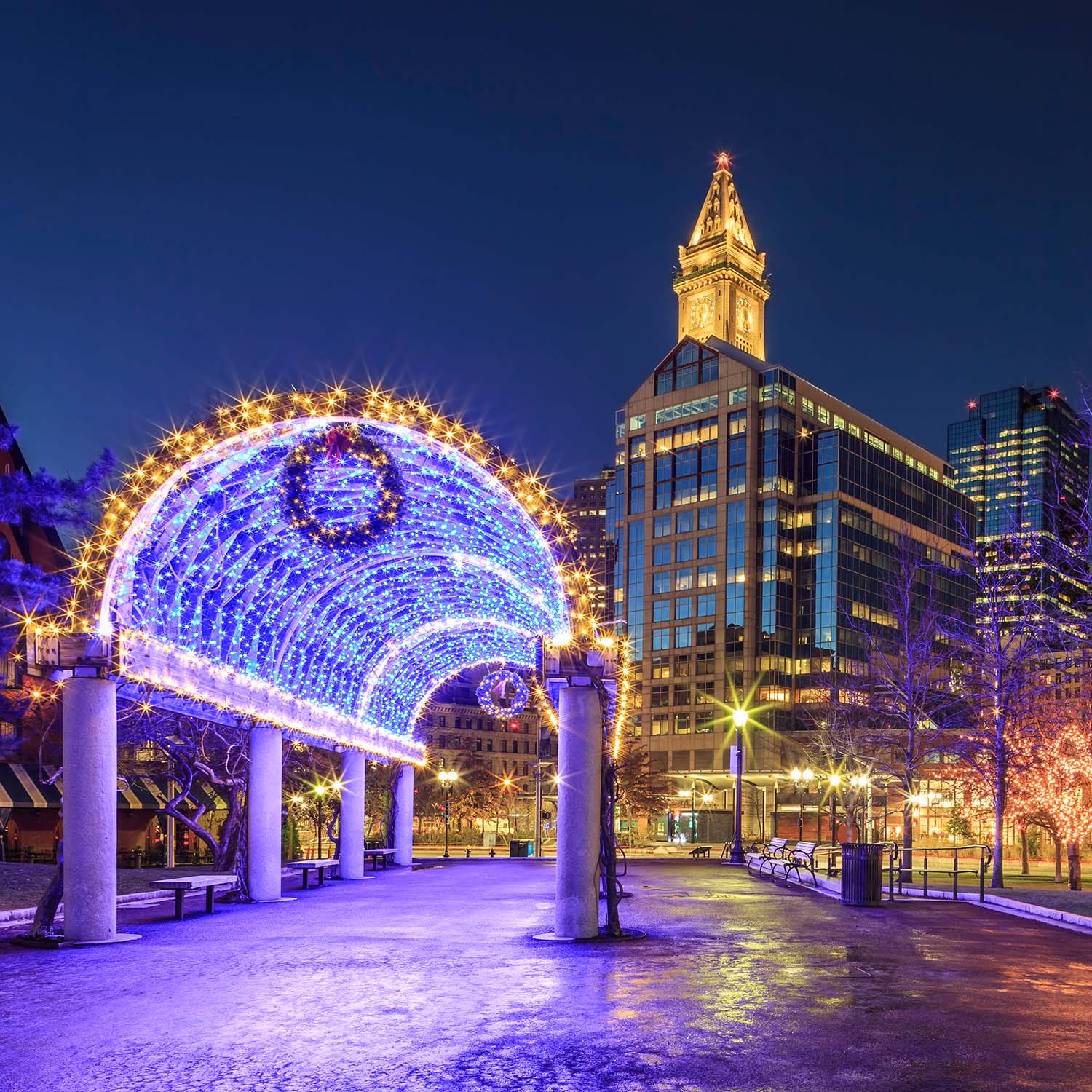 Photo: A trellis with blue, purple, and white holiday lights in Boston