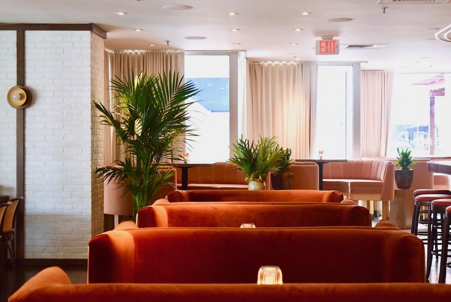 A photo of burnt red couches and indoor greenery at Bar Enza in Cambridge, MA.