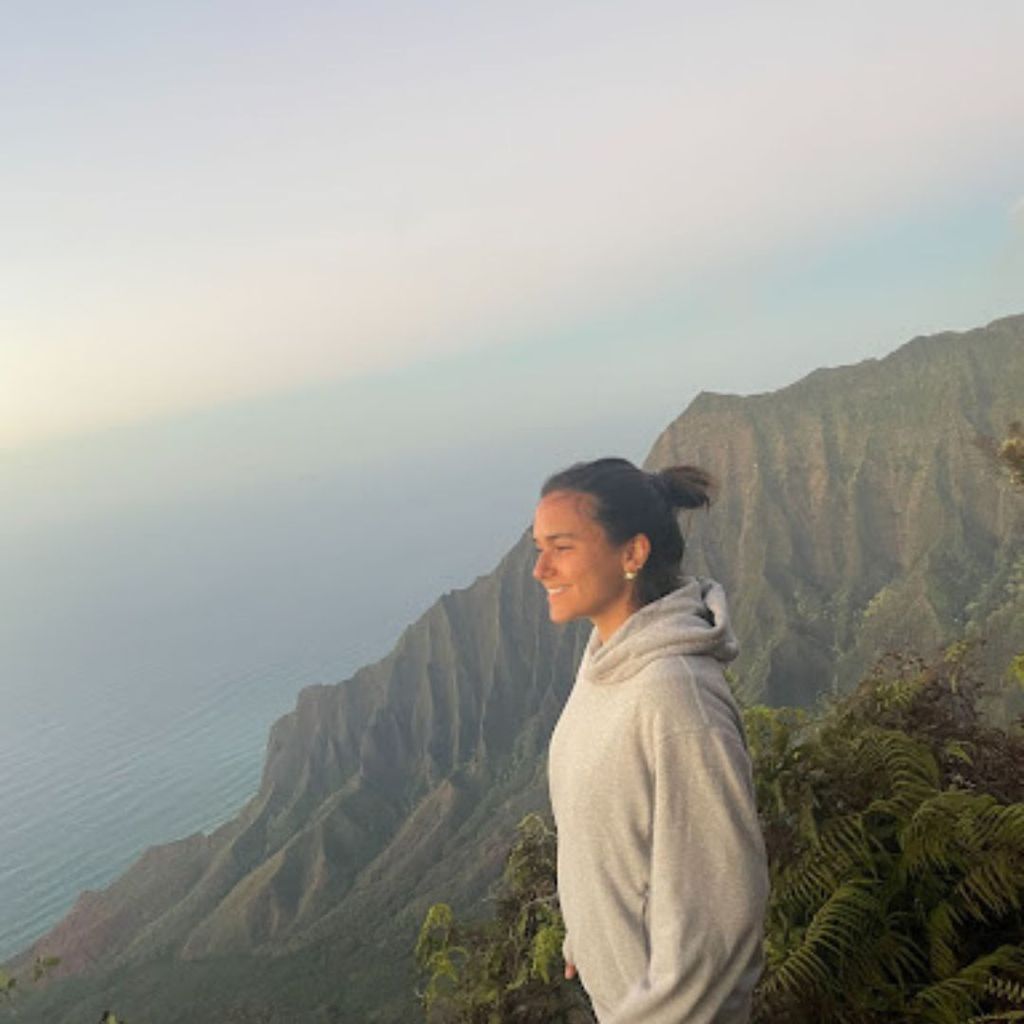 Student, Paulina Preciat, is on a tropical mountaintop facing the ocean. She is smiling as she overlooks the ocean, looking out into it.
Picture credit: Paulina Preciat (SHA'23)