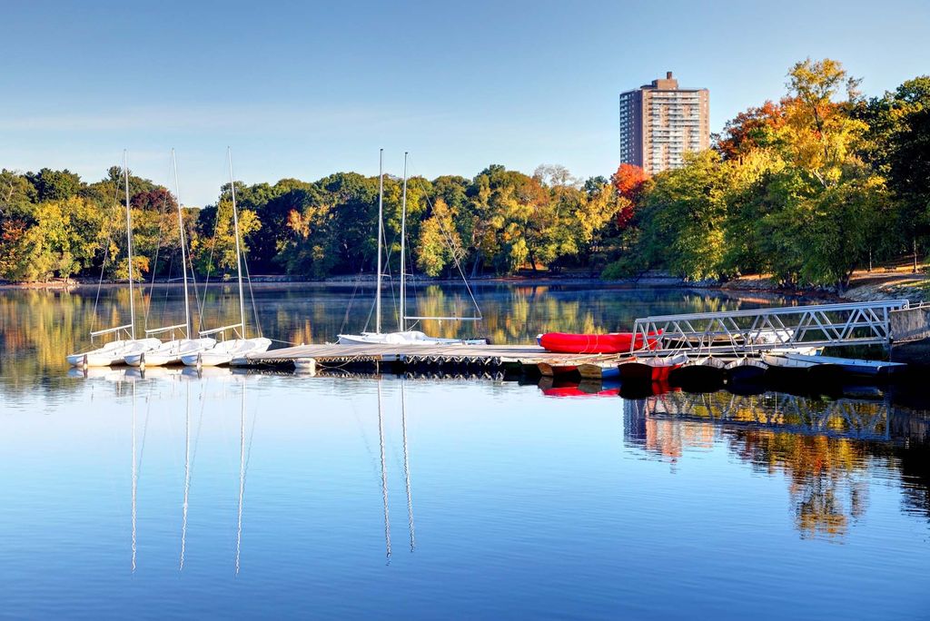 Photo: A view of boats docked at Jamaica Pond, with trees lining the sides and a building in the distance