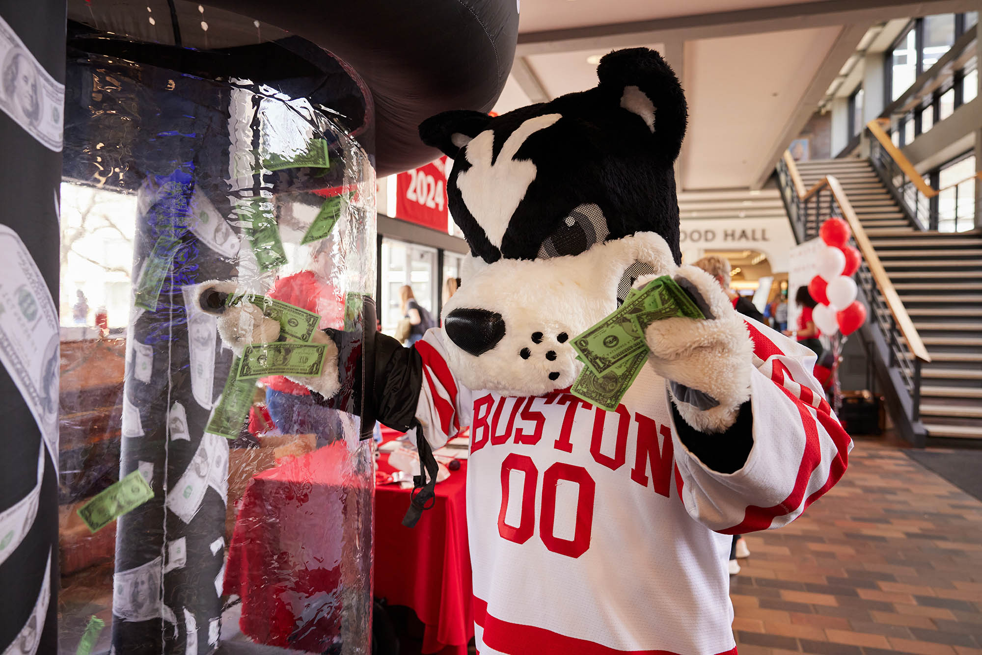 Photo: The BU Terrier mascot throws fake money into a cash cube which floats the money around in a tornado-fashion. The mascot wears a white jersey with red lettering that reads, "BOSTON 00". There is a red tablecloth behind him and red and white balloons. they are in an unmarked BU building.