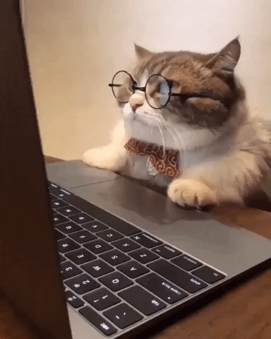 This is a GIF of a cat wearing glasses and a bowtie, sitting up-right at table. The cat is looking at a laptop screen yawning.