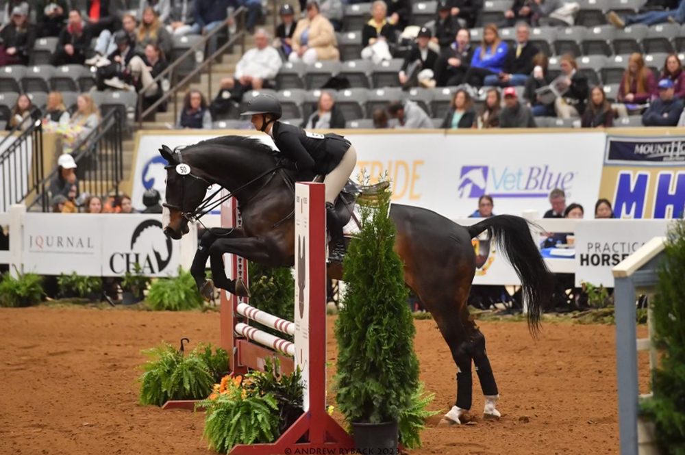 Photo: Elizabeth Nevins, a white young woman wearing black riding gear and helmet, rides a dark brown horse as it jumps over a barrier in a competition ring. A few people can be seen in the stands of the blurry background.