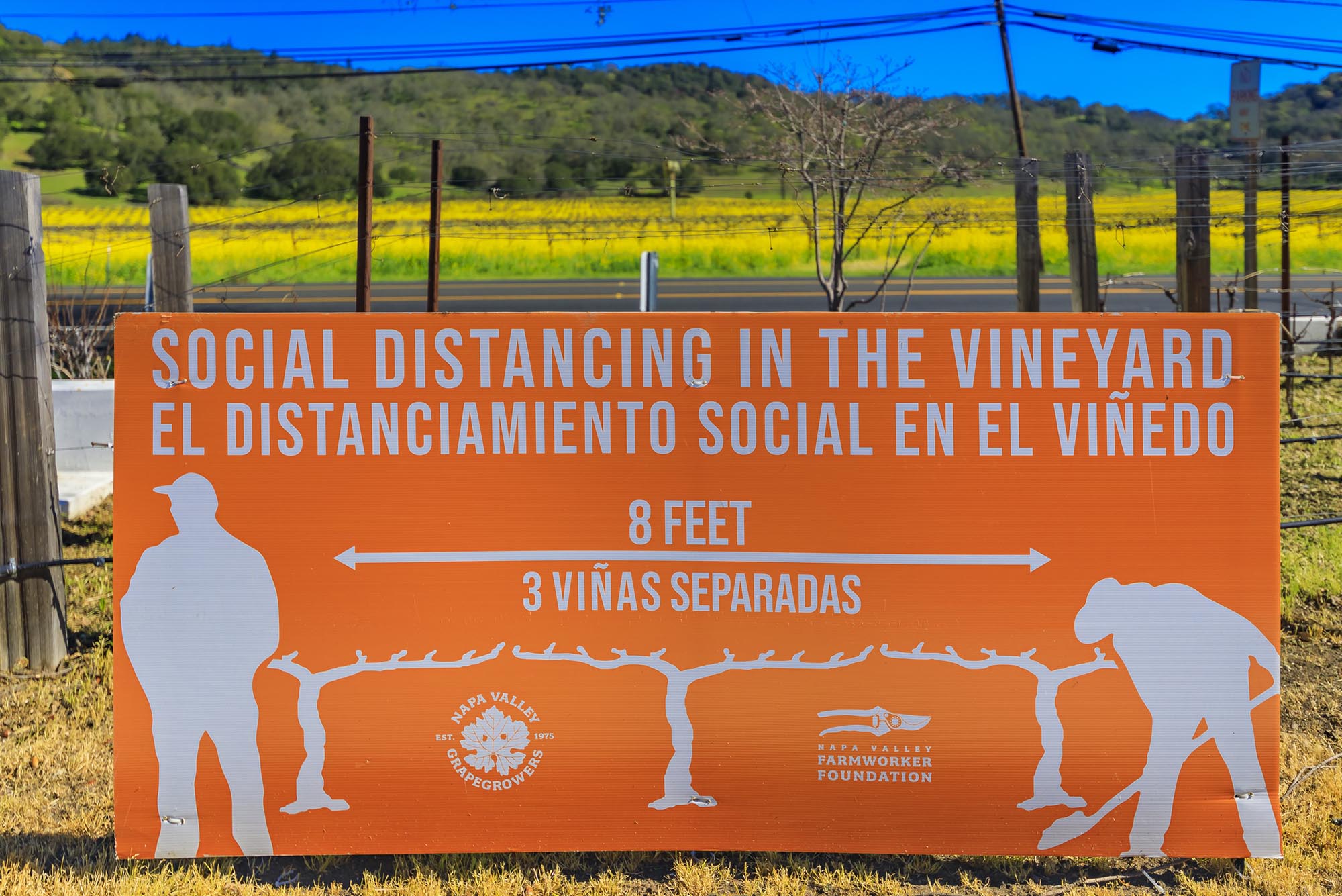 Photo: An orange social distancing sign during the COVID-19 pandemic with grape vines at a vineyard in Napa Valley, California. sign reads "Social distancing in the vineyard" in English and Spanish and shows icons to demonstrate being 6 feet away from each other.