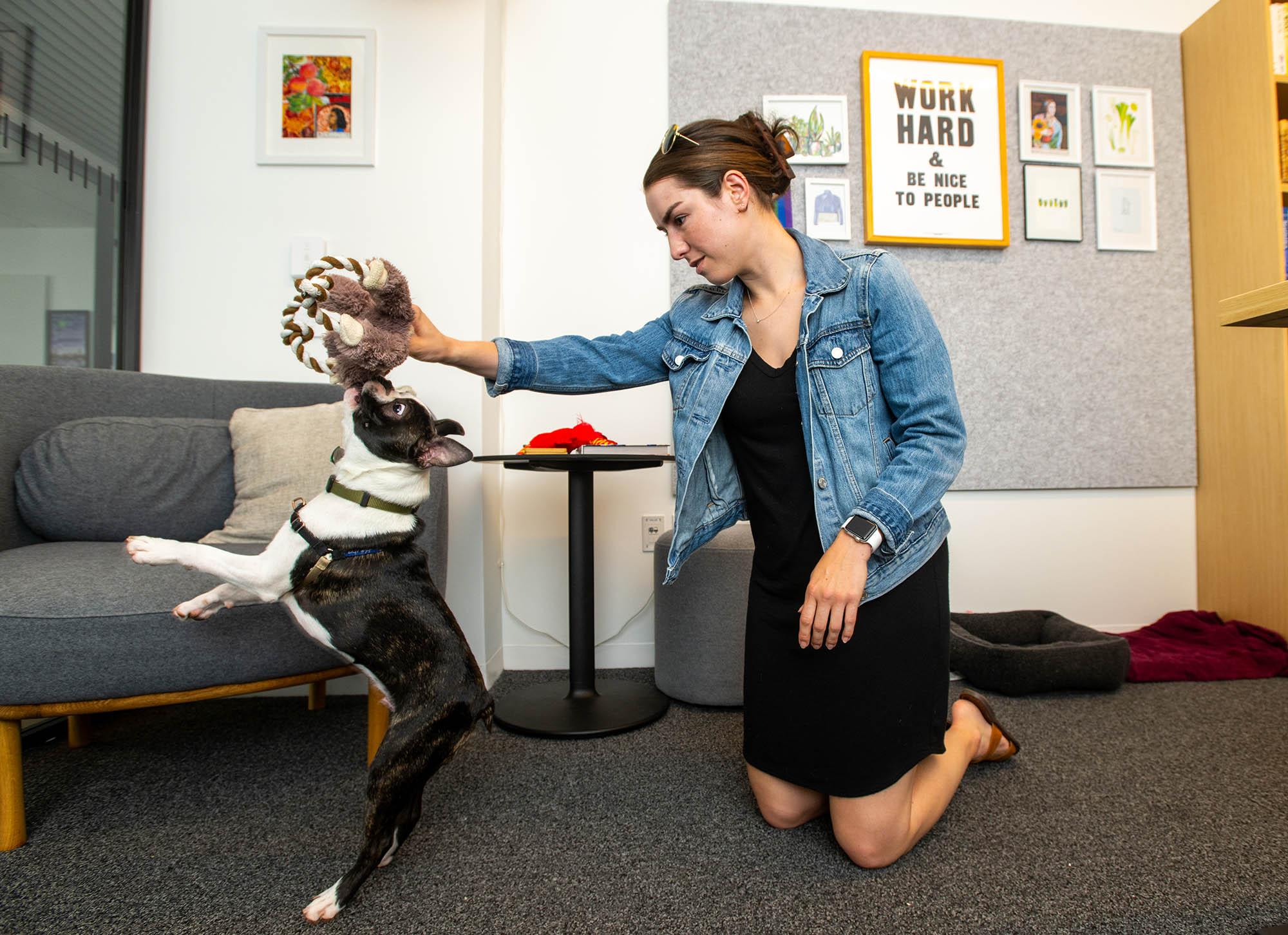 Photo: Erin Murdock, a white woman wearing a black dress and jean jacket, kneels as she holds a stuffed brown toy above the head of her Boston terrier dog. The black and white terrier jumps and tugs at the toy. 
