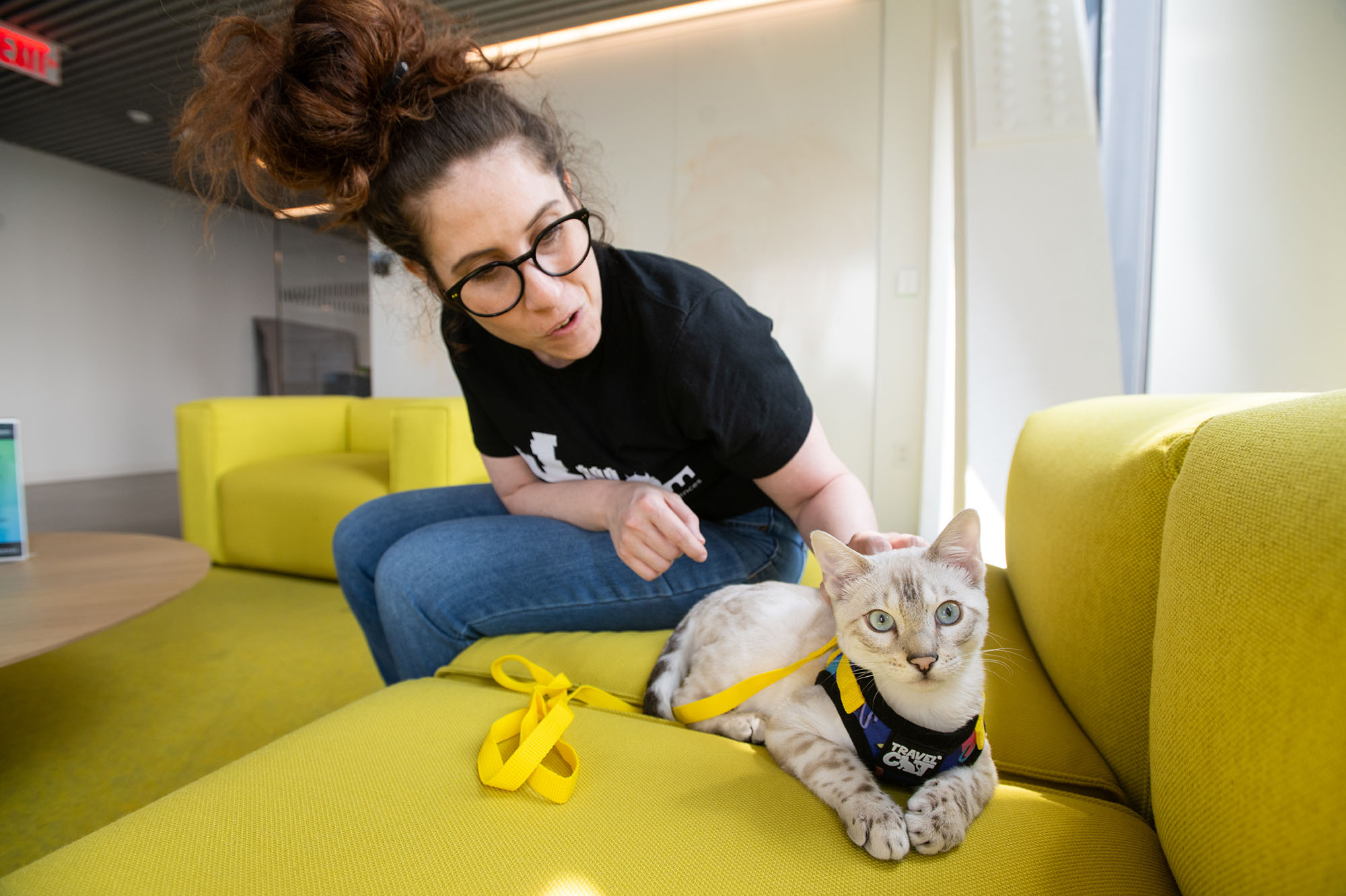 Photo: Colleen Gilman Kenney, A white woman wearing glasses, a black shirt, and jeans, leans over and pets her silver snow bengal cat. The cat wears a black harness and lounges on a yellow couch.