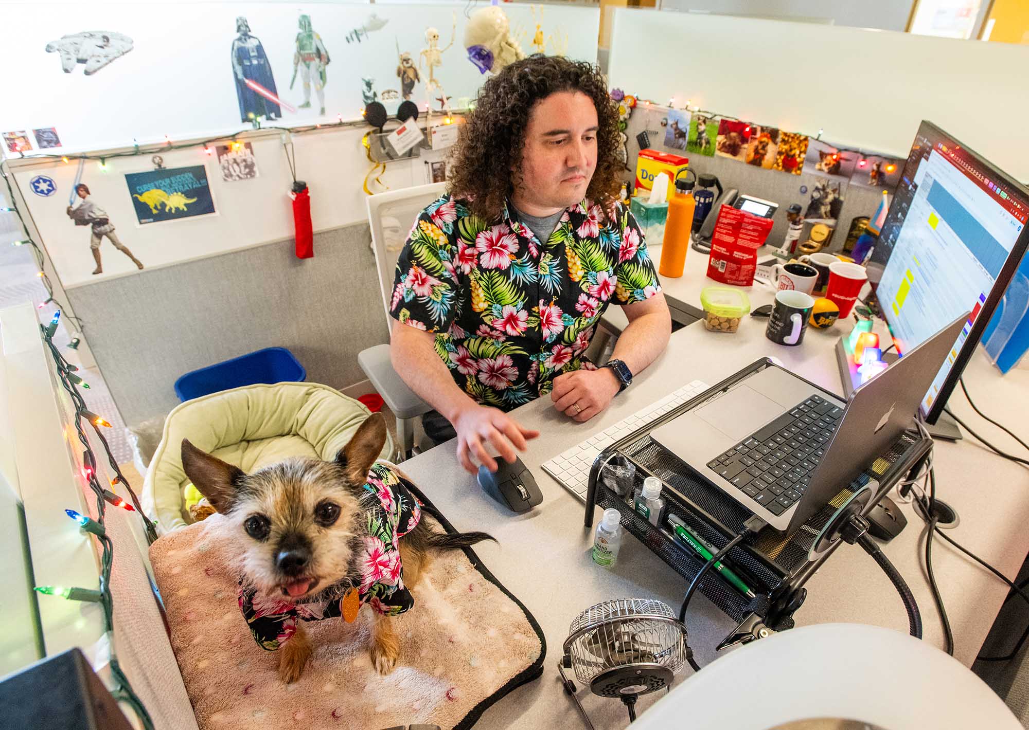 Photo: Brian Baldeck, a white man with long, curly hair and wearing a Hawaiian-themed orange shirt, sits at his desk and works on his computer. A Yorkshire terrier Chihuahua mix dog wearing a matching shirt sits in a dog bed to his right and looks up at the camera.