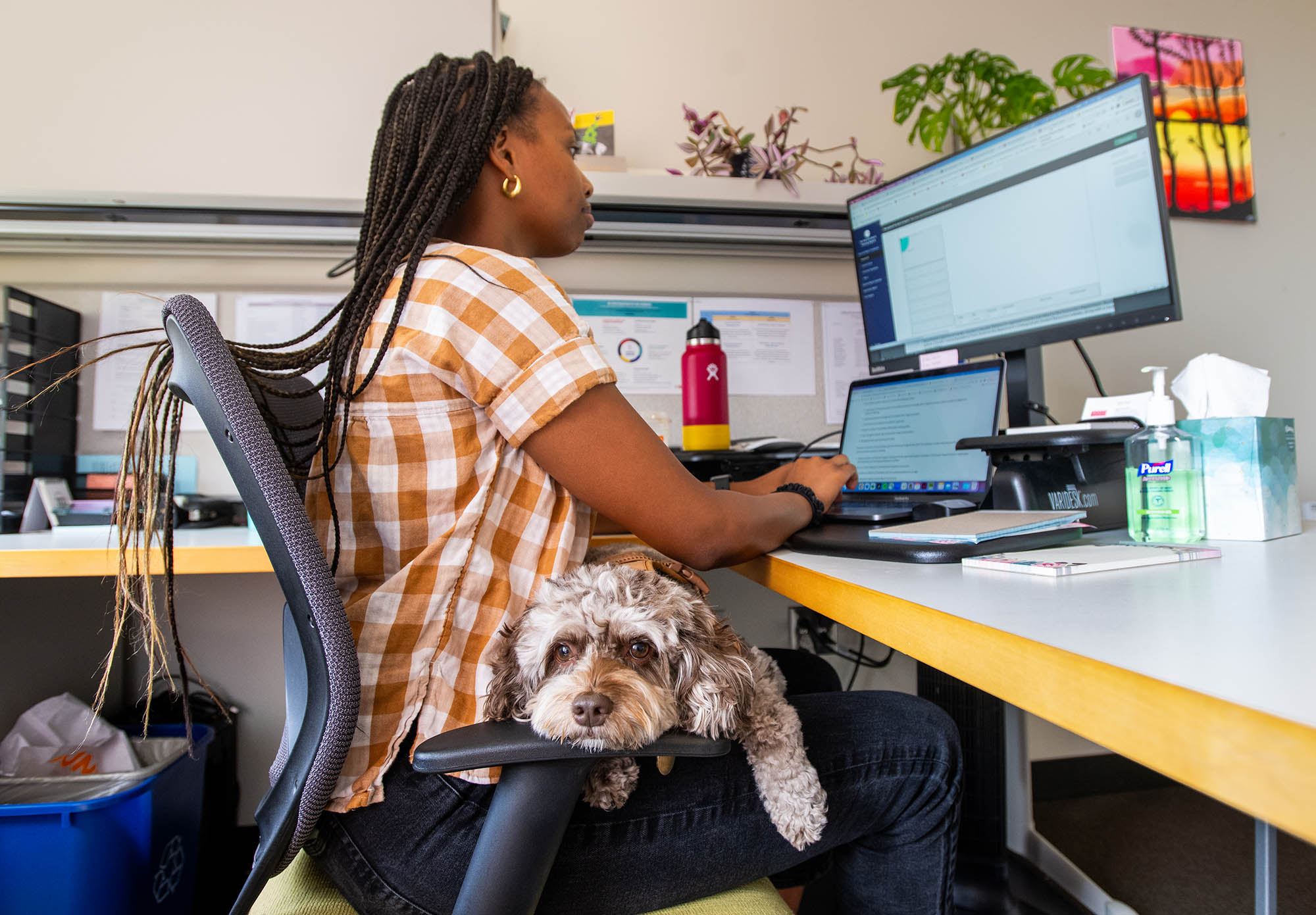 Photo: Michelle Njoroge, a black woman with long box braids and wearing a plaid collared shirt and jeans, sits and works at her desk as her white and brown merle cockapoo dog sits in her lap.