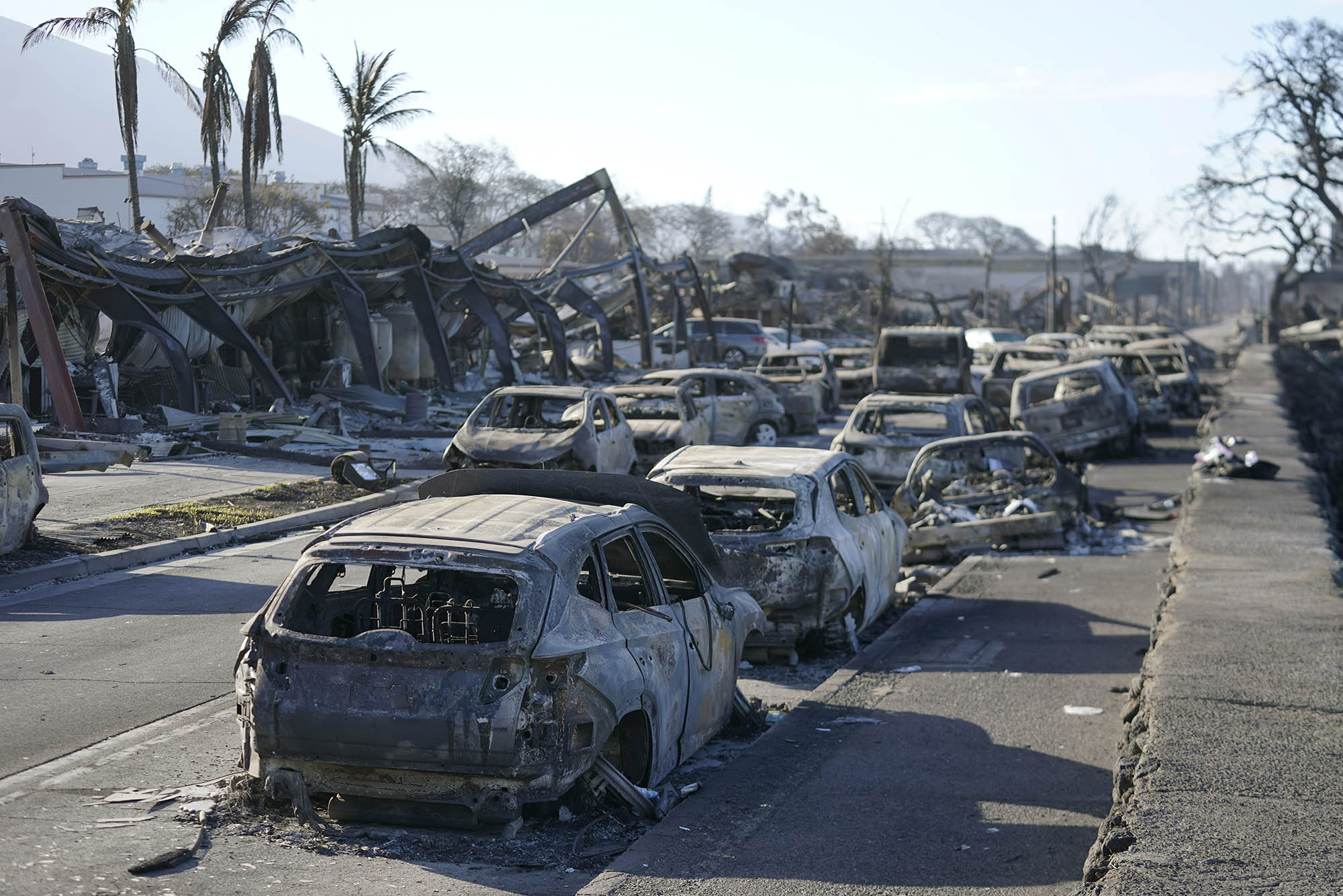 Photo: Burnt out cars line the sea wall after the wildfire on Friday, Aug. 11, 2023, in Lahaina, Hawaii. In the distance burnt buildings and trees can be seen as well.