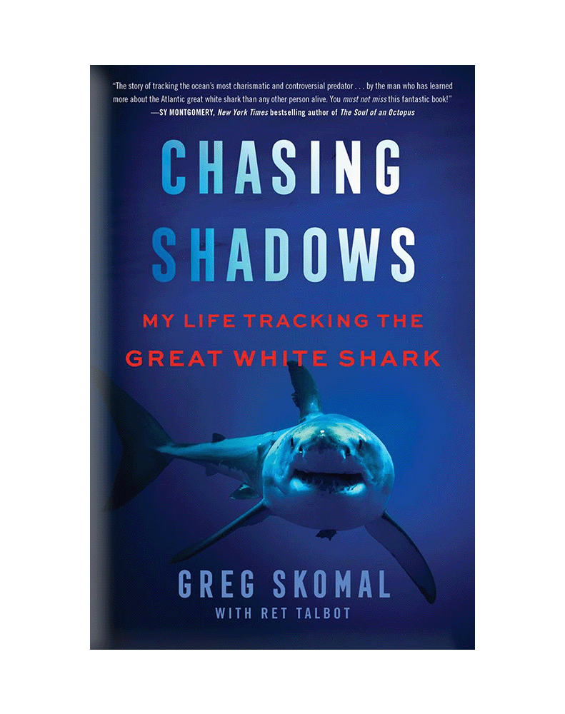 Image: Book cover for Greg Skomal's "Chasing Shadows: My Life Tracking the Great White Shark". A dark blue cover shows a menacing great white shark swimming towards the reader. Watery text reads "Chasing Shadows" and red text below that reads "My Life Tracking the Great White Shark".