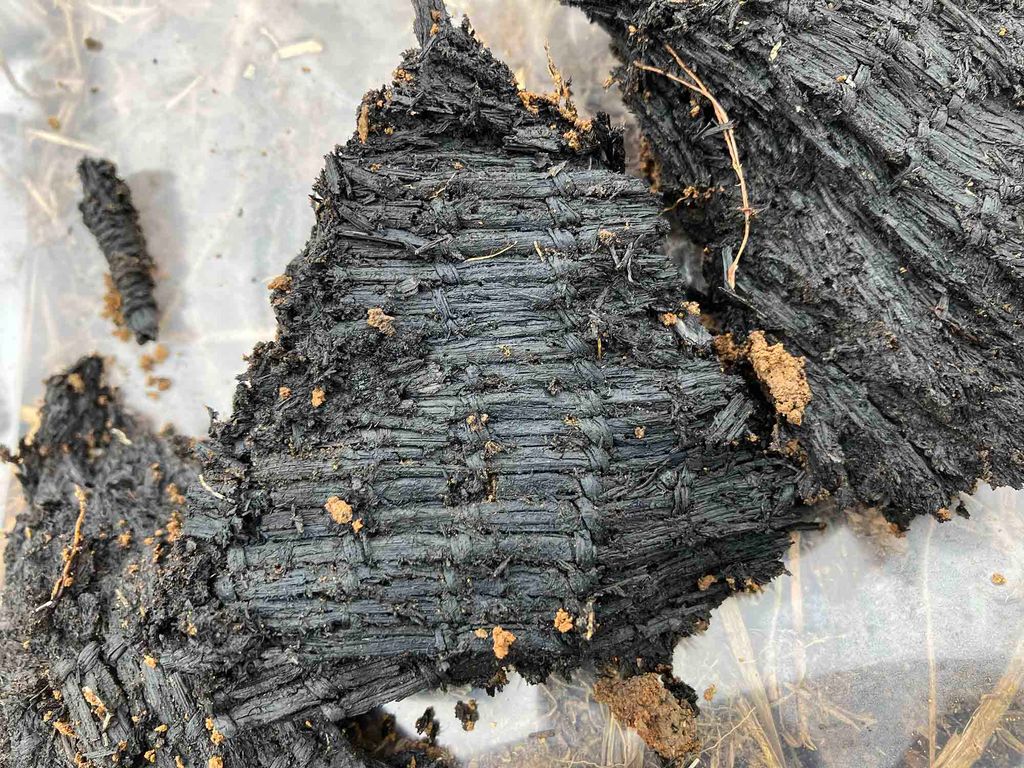 Photo: A whole piece of woven grass that is surprisingly intact. A large, black extremely old woven grass is shown on a plastic sheet placed on the ground.