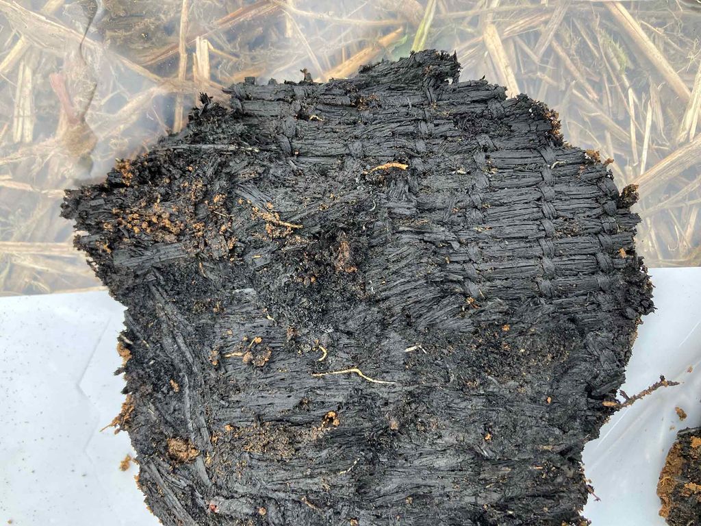Photo: A whole piece of woven grass that is surprisingly intact. A large, black extremely old woven grass is shown on a plastic sheet placed on the ground.