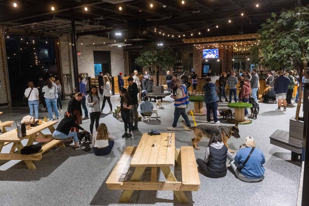 Photo: Interior of the Park-9 Dog Bar. A small crowd of people and dogs mingle and relax in an open-air bar filled with various sitting areas and places for dogs to play.