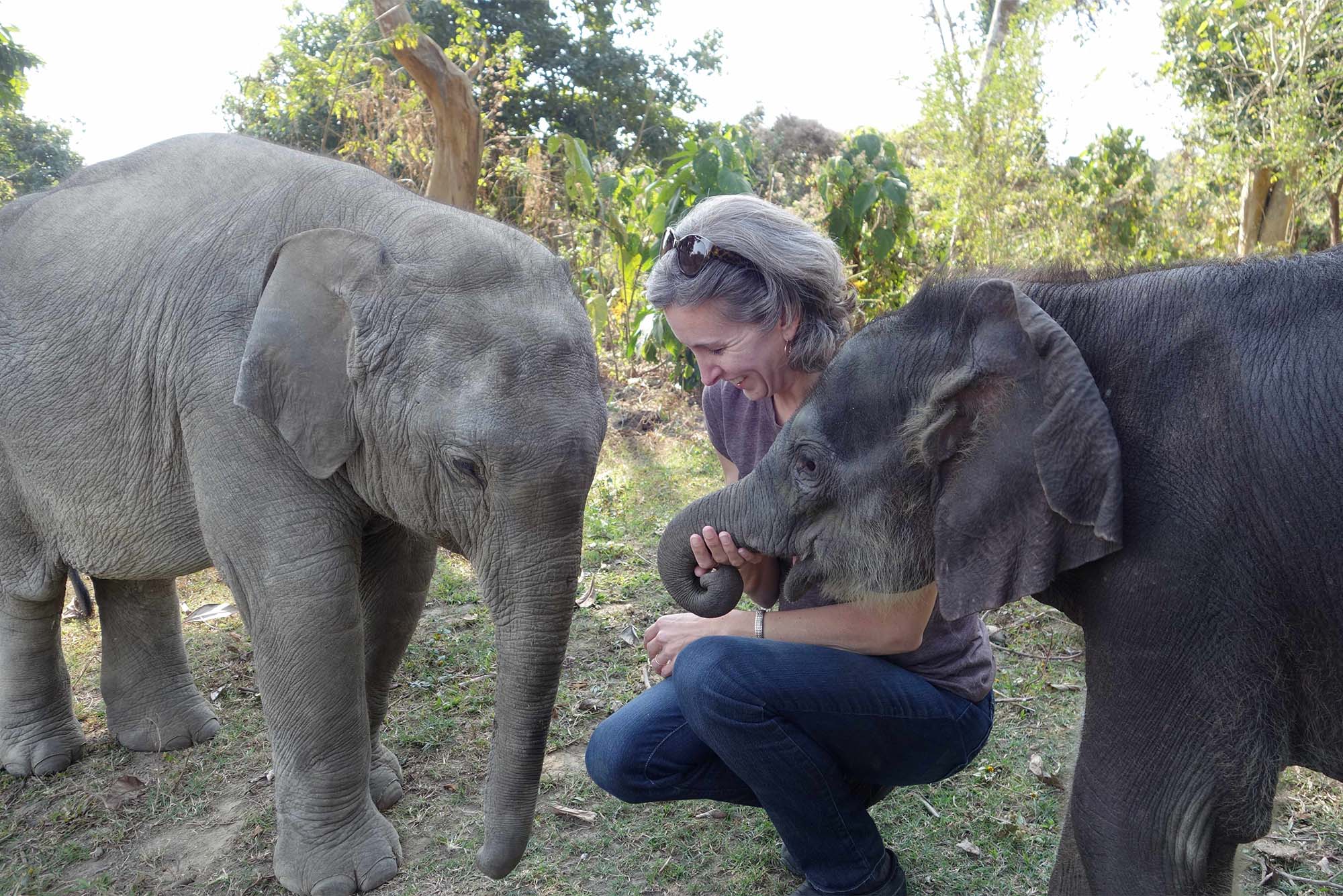 Photo: An older white woman playing with baby elephants on a sunny day