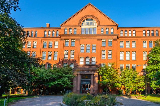 Photo: A picture of the exterior of the Harvard Museum of Natural History. The red-brick building has trees in front of it