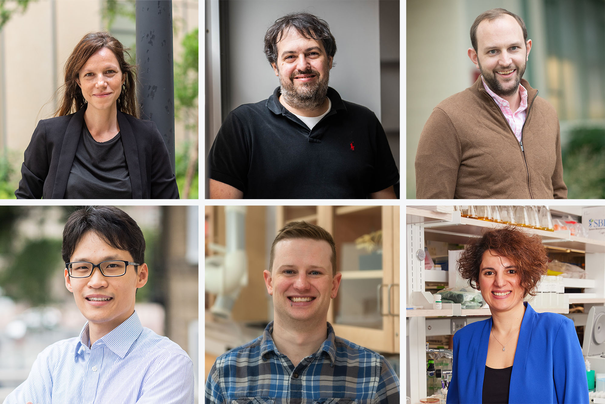 Composite image of 6 different academics in formal dress, posing for portrait headshots.