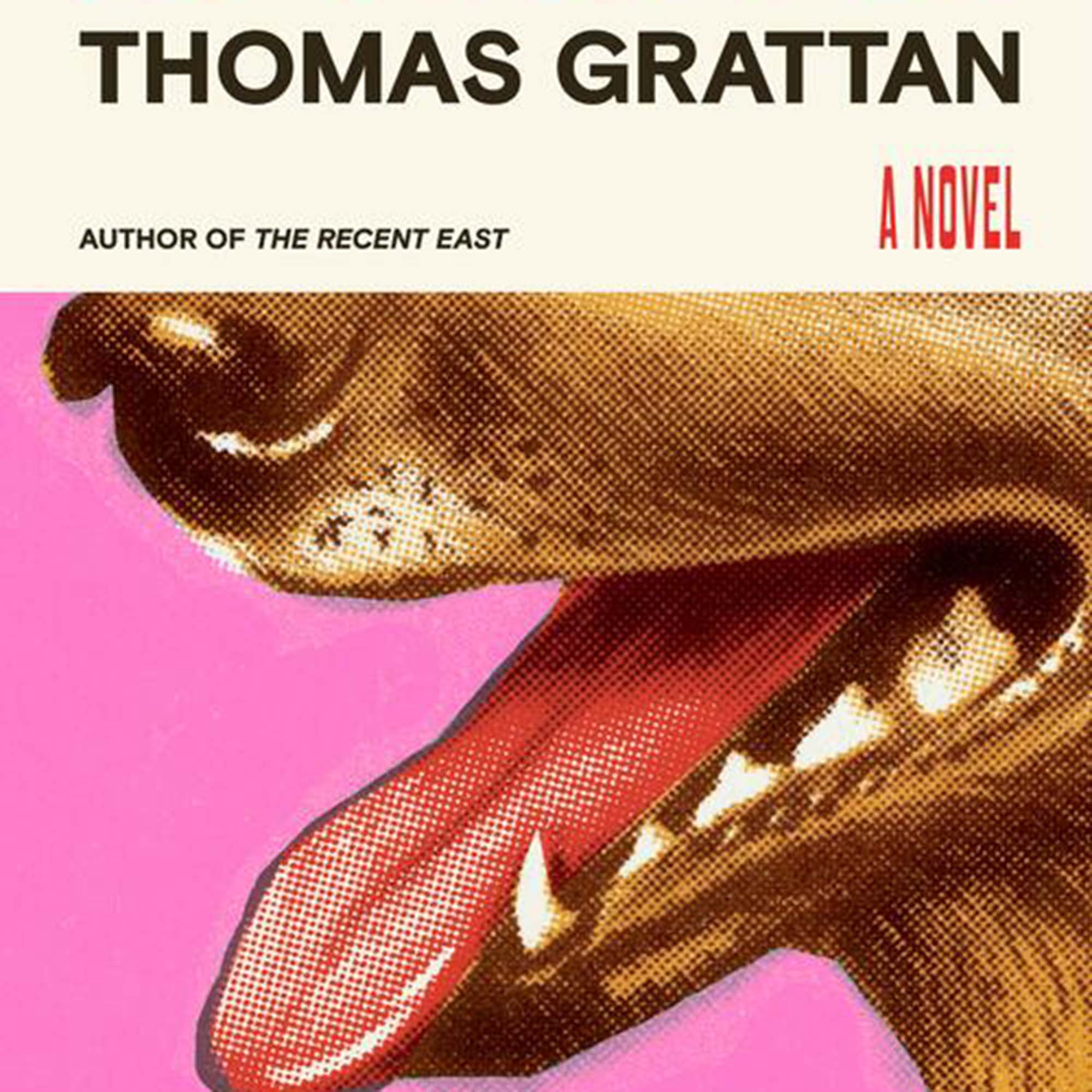 Photo: The cover of the book "In Tongues" by Thomas Grattan. It features the author's name and title at the top and a drawing of the bottom half of a dog's face with its tongue sticking out and a pink background behind it at the bottom
