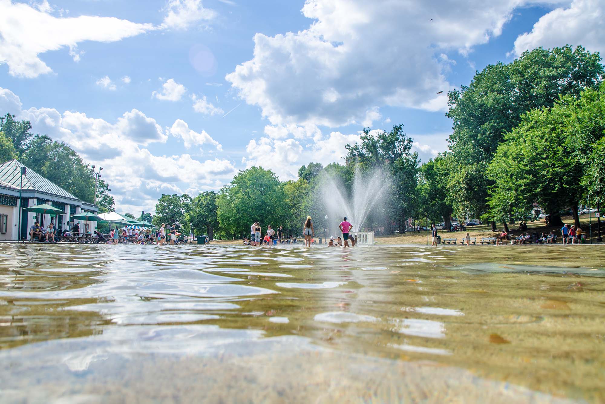 Photo: A picture of the "Frog Pond," a splash pool in Boston.