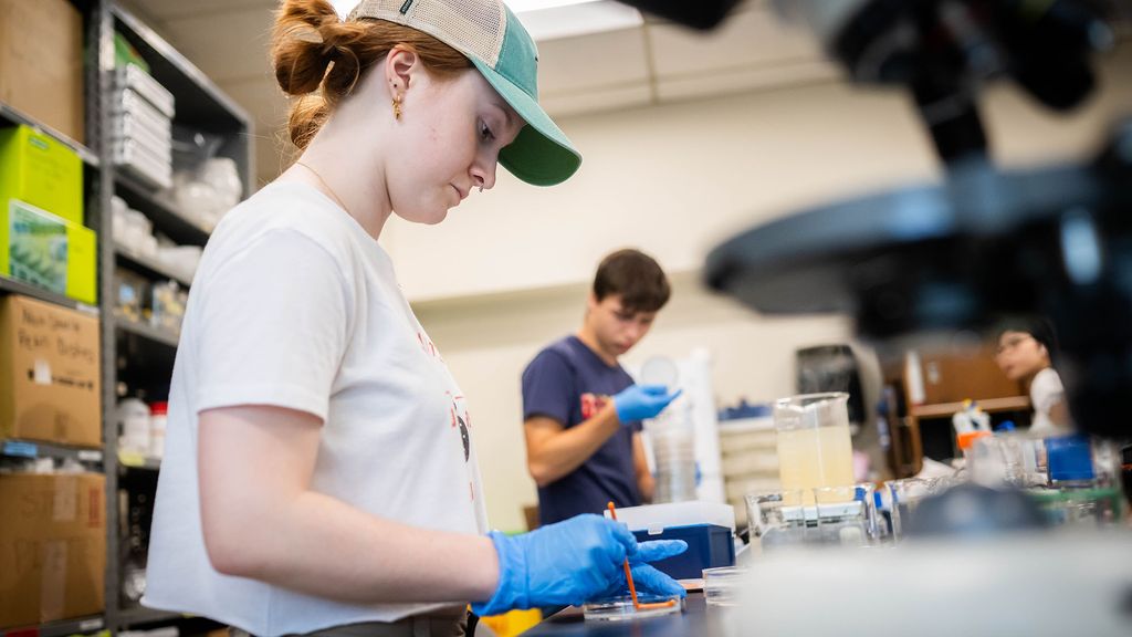 Photo: In the foreground, a female student with a baseball cap and gloves on working in a lab. In the background, a male student inspecting lab equipment